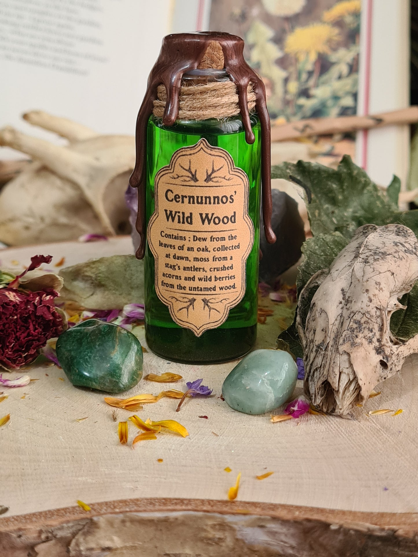 Cernunnos‘ Wilder Wald