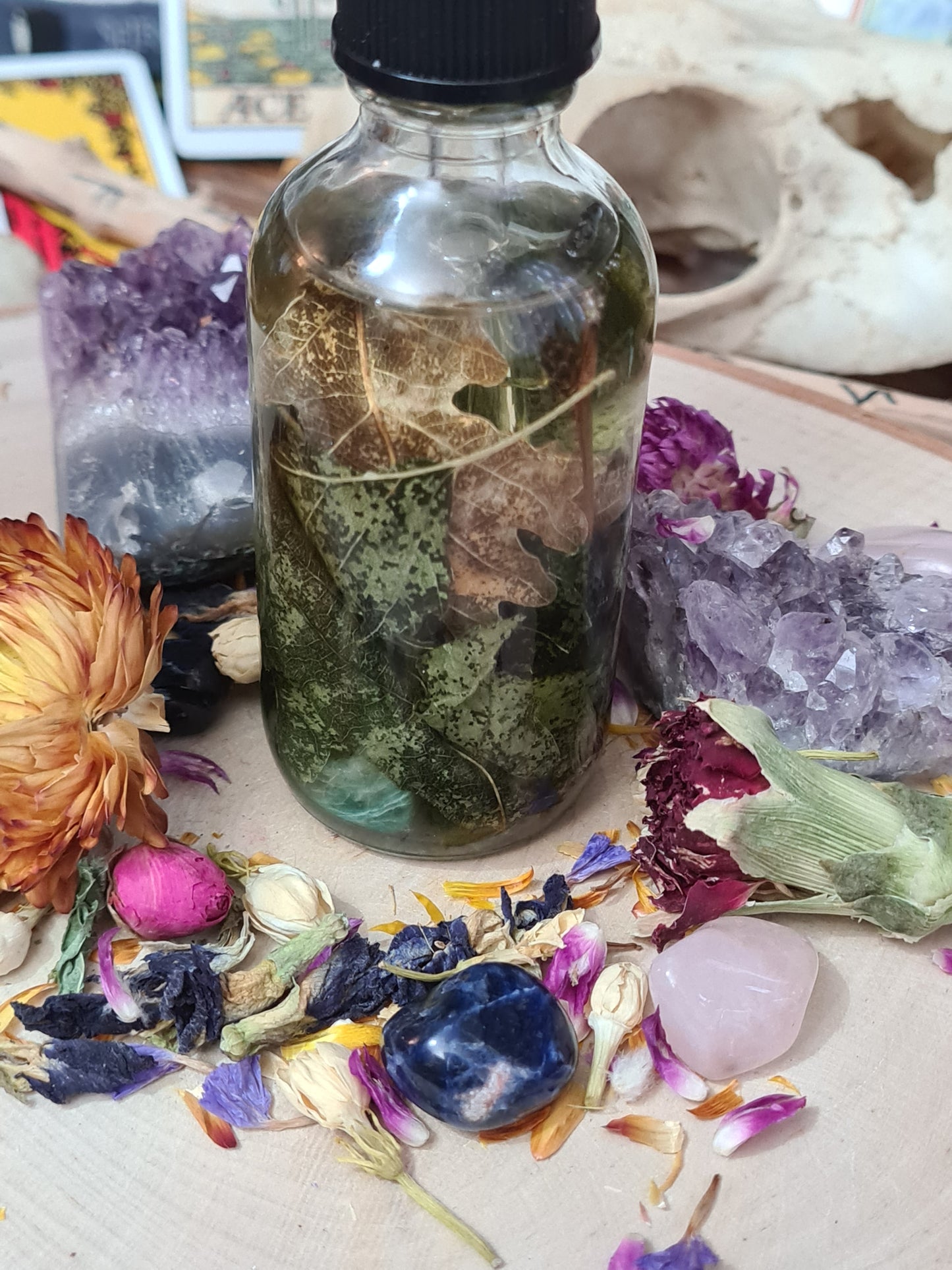 Waldhexe