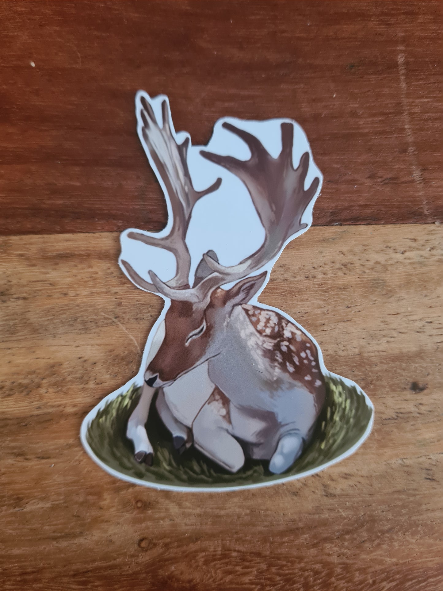 Deer