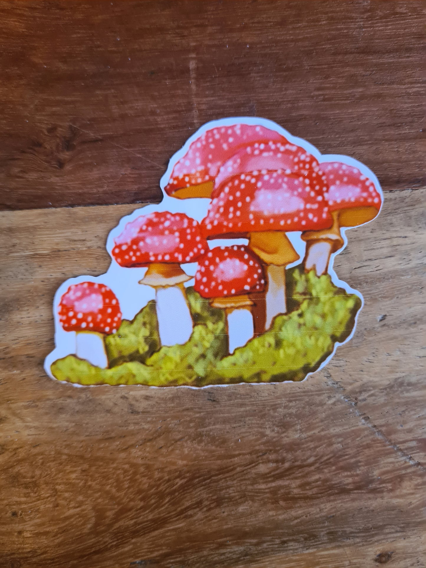 Mushrooms