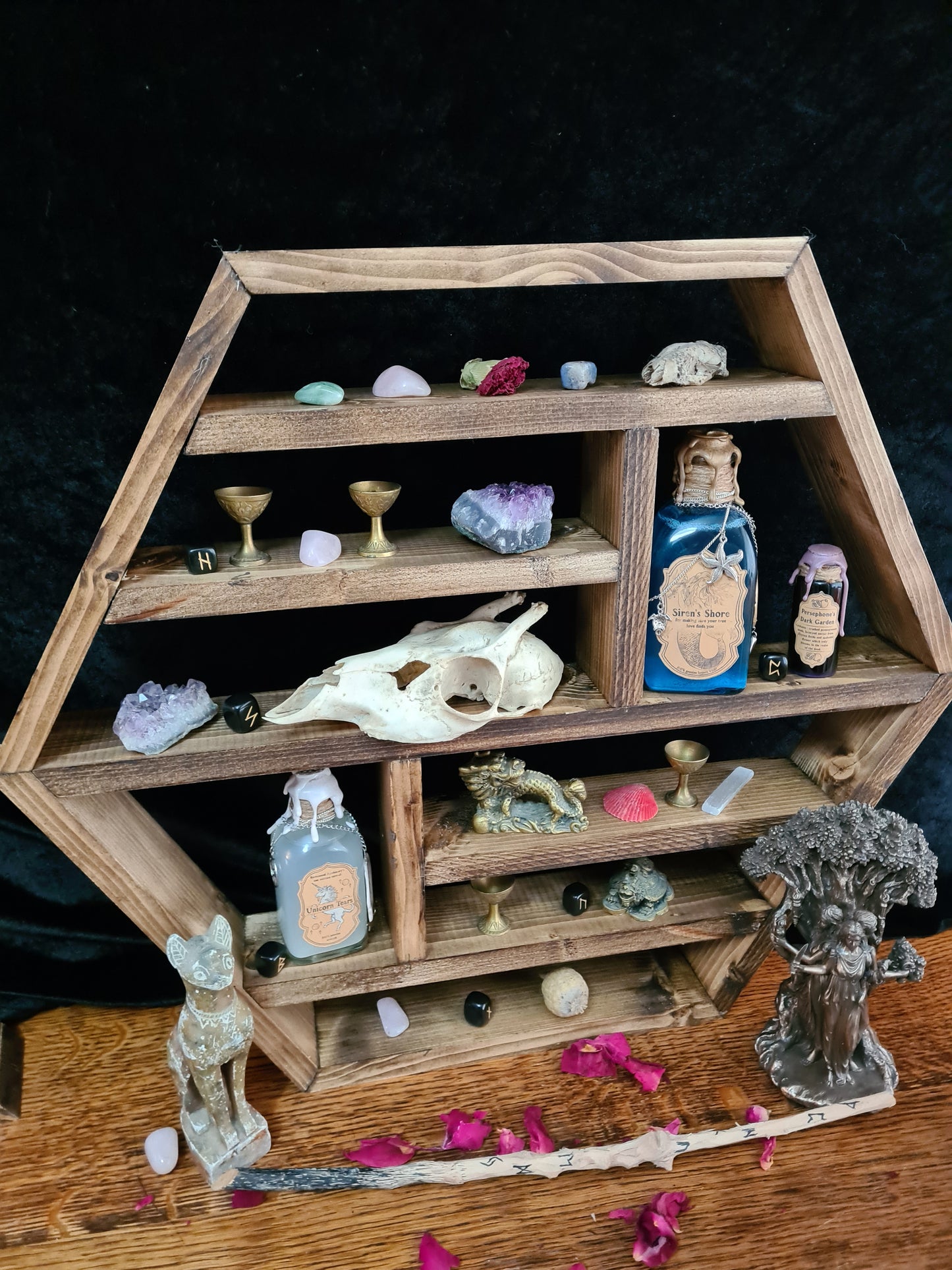 Gem & Collectors Shelf