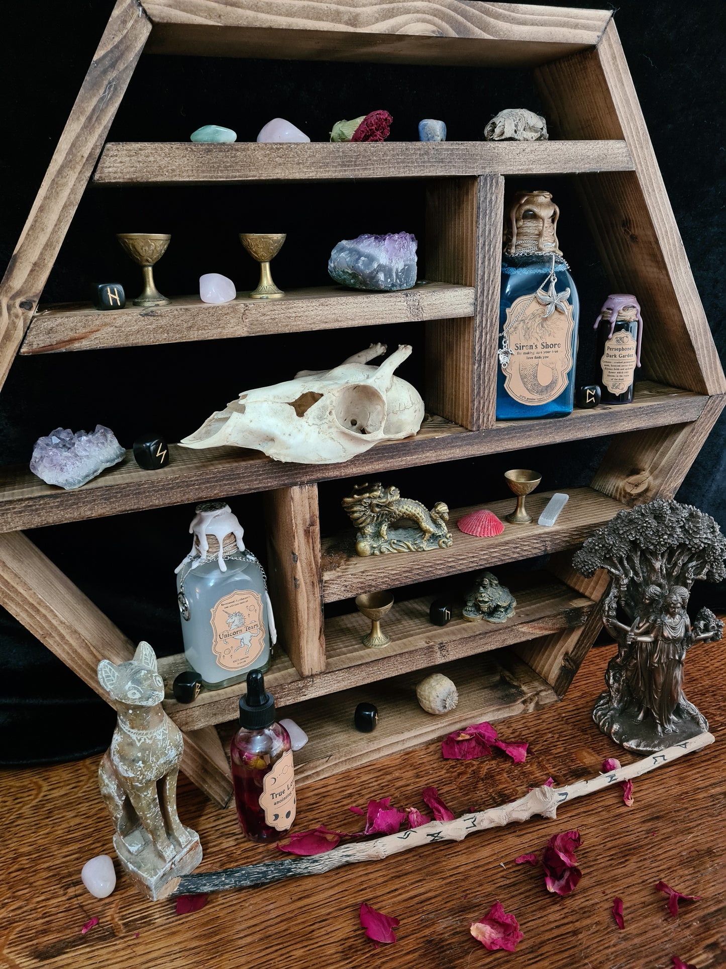 Gem & Collectors Shelf