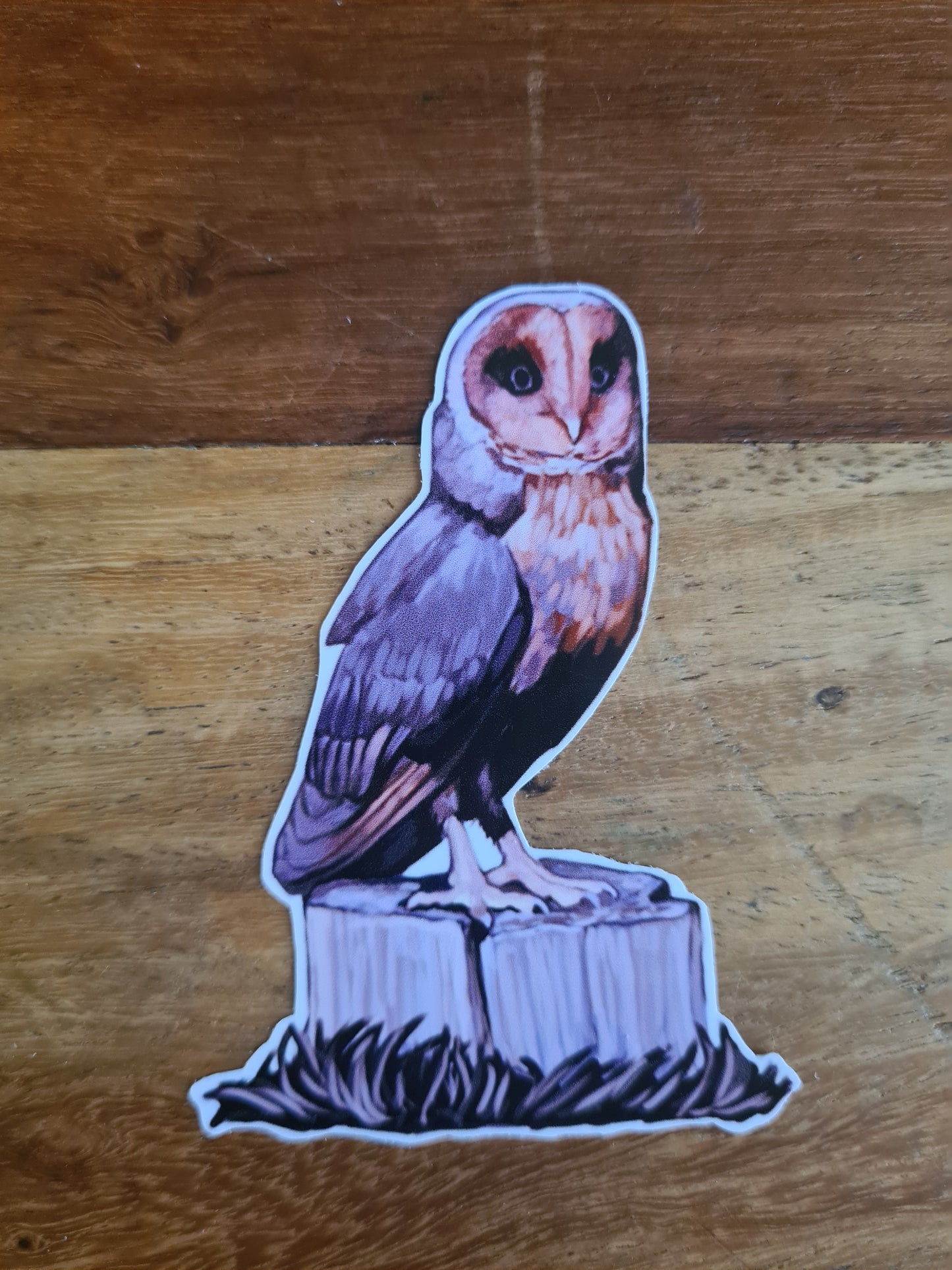 Purple Owl